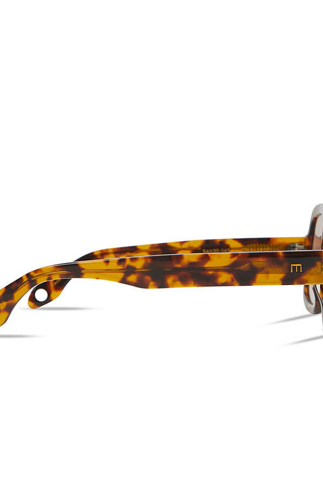 Tortoiseshell sunglasses on a white background